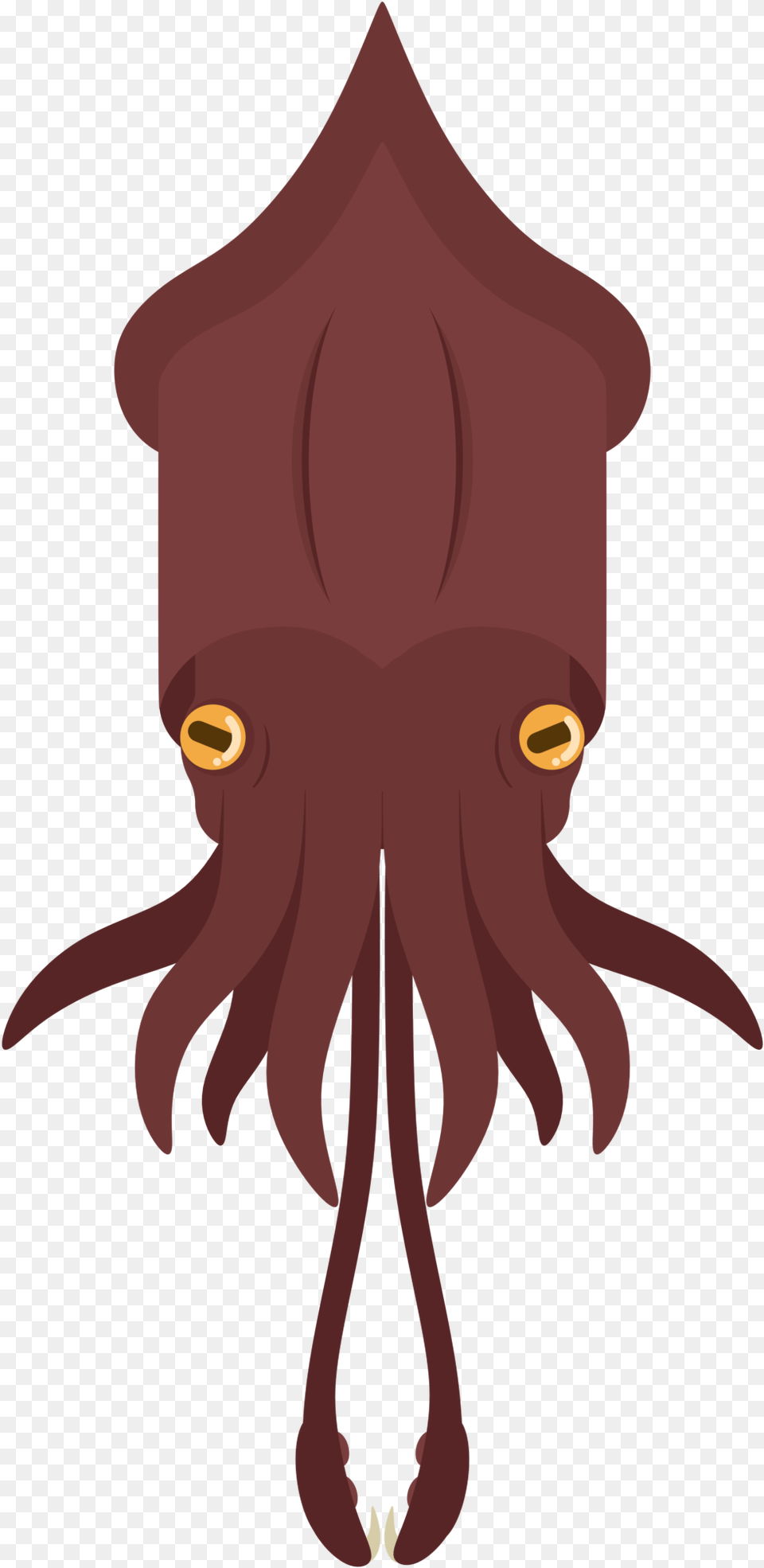 Animalanimal Colossal Squid Cartoon, Animal, Sea Life, Food, Seafood Free Transparent Png