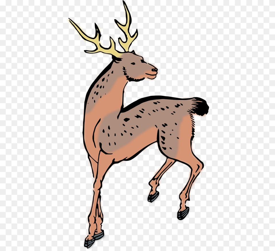 Animaldeerwoodcutfree Vector Graphics Custom Deer Shower Curtain, Animal, Wildlife, Mammal, Elk Free Png