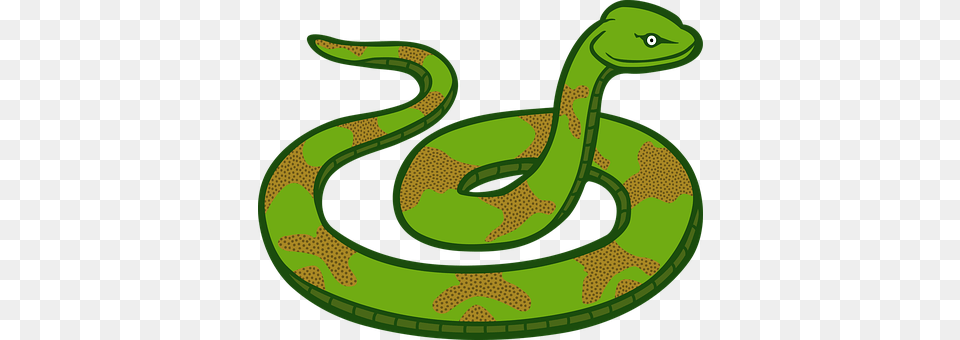 Animals Animal, Reptile, Snake Png Image
