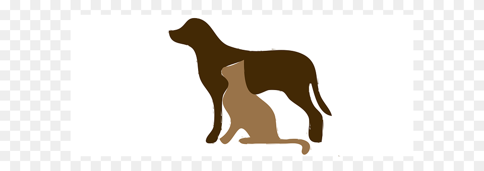 Animals Animal, Canine, Dog, Mammal Free Png Download