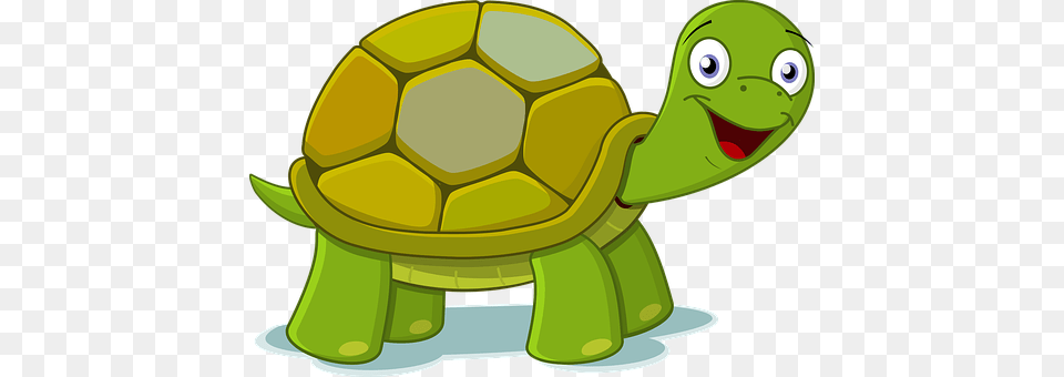 Animals Animal, Reptile, Sea Life, Tortoise Free Png Download