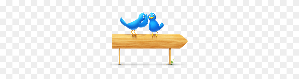 Animals, Plywood, Wood, Animal, Bird Png Image