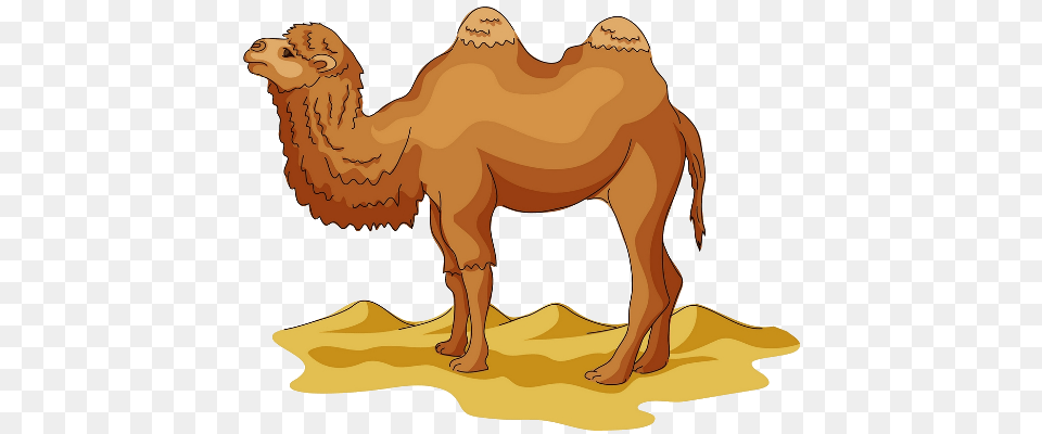 Animals, Animal, Camel, Mammal, Dinosaur Free Png