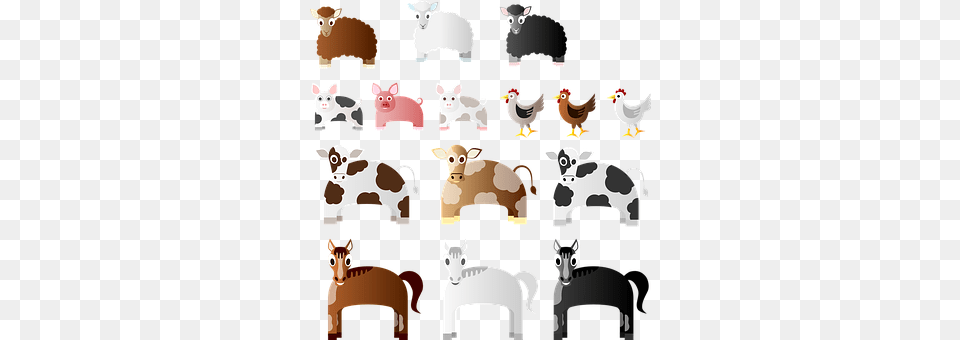 Animals Animal, Fowl, Poultry, Chicken Free Png Download