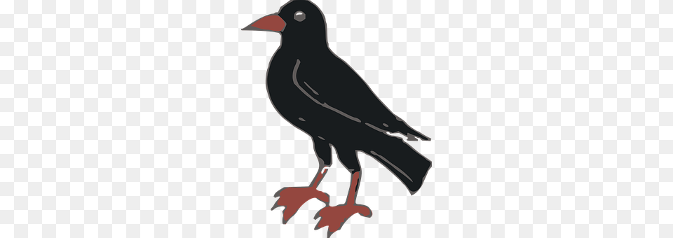 Animals Animal, Bird, Blackbird, Device Png Image