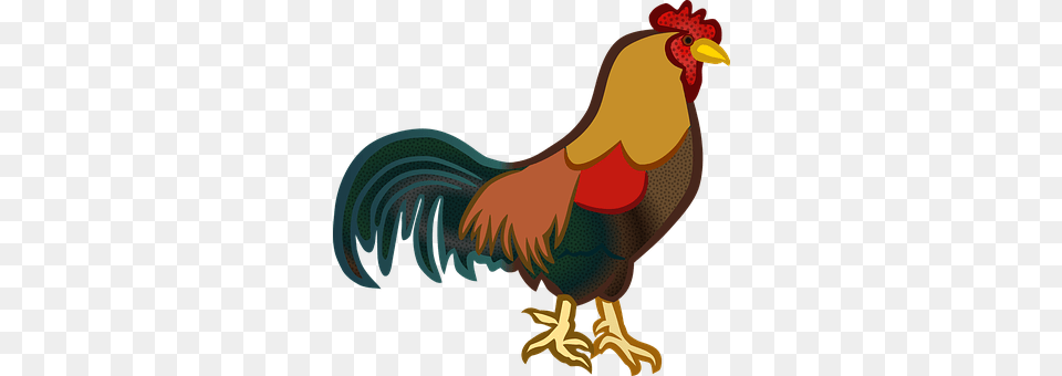 Animals Animal, Bird, Chicken, Fowl Png Image