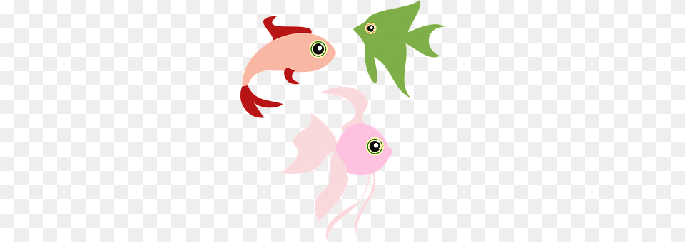 Animals Animal, Sea Life, Fish Png