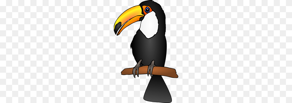 Animals Animal, Beak, Bird, Toucan Free Png
