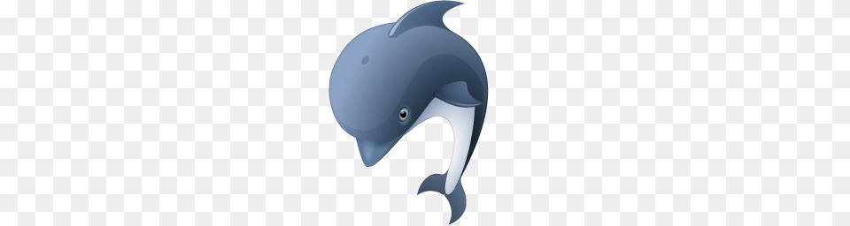 Animals, Animal, Dolphin, Mammal, Sea Life Free Transparent Png