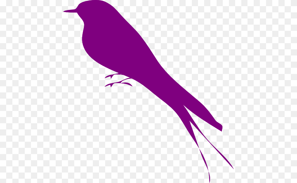 Animals, Animal, Bird, Blackbird, Fish Free Transparent Png