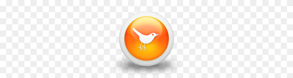 Animals, Animal, Bird, Bowl Free Png