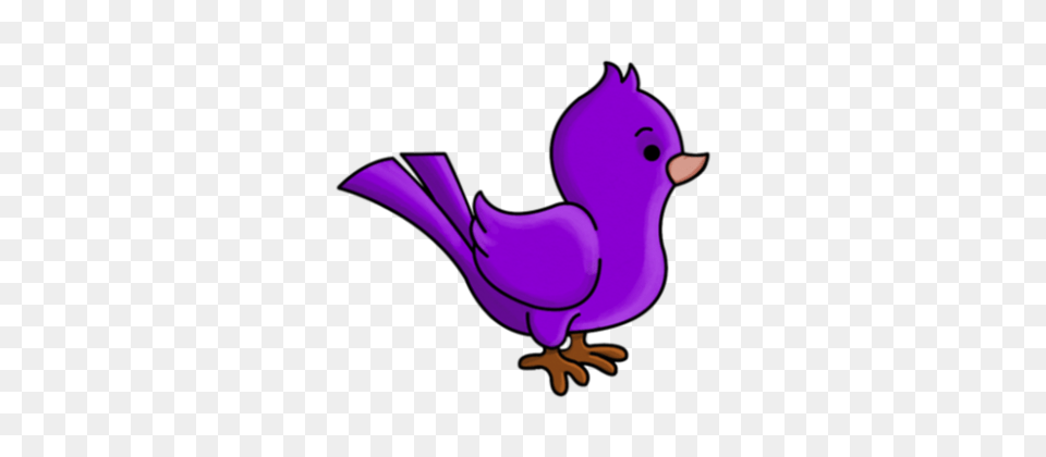 Animals, Animal, Beak, Bird, Purple Free Transparent Png