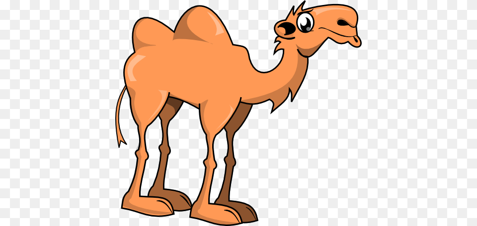 Animals, Animal, Camel, Mammal, Kangaroo Free Png