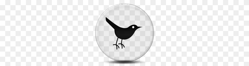 Animals, Sphere Free Transparent Png