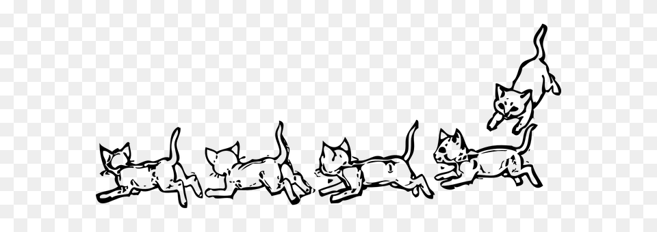 Animals Gray Free Transparent Png