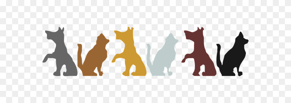 Animals Adult, Bride, Female, Logo Free Transparent Png