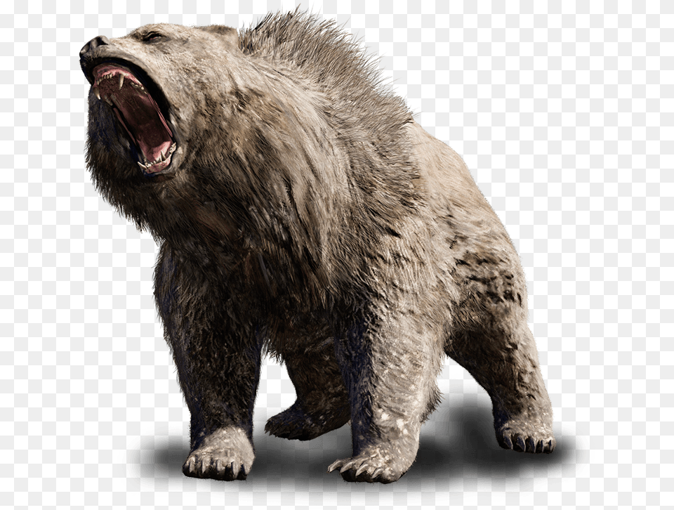 Animals Antagonist Great Scar Bear Steemit, Animal, Mammal, Wildlife Free Png