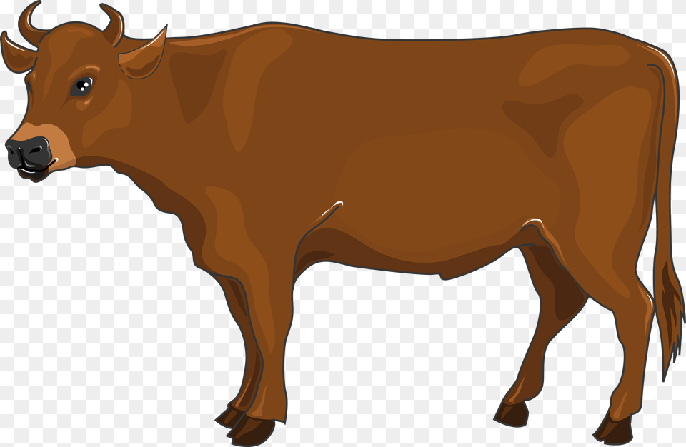 Animals Archives, Animal, Bull, Cattle, Livestock Free Png Download