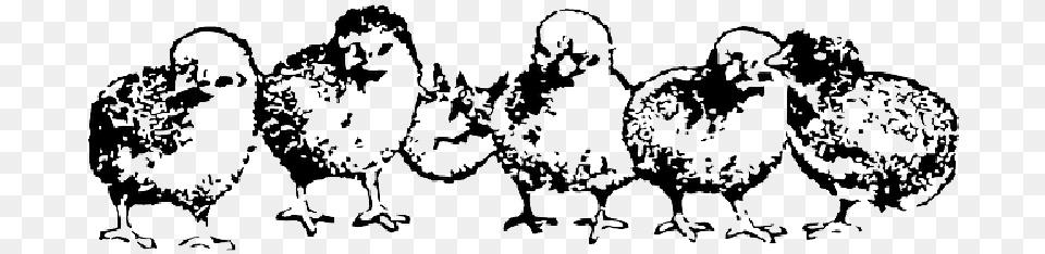 Animals Baby Farm Birds Rooster Hen Chicken Baby Chickens Clip Art Black And White, Accessories, Jewelry, Necklace Free Png Download