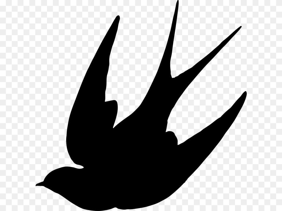 Animals Bird Flying Silhouette Swallow Wings Swallow Clipart, Gray Png