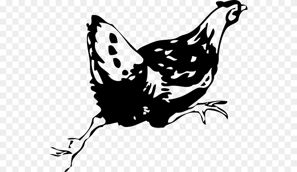 Animals Black Drawing White Cartoon Birds Bird Hen Clip Art, Stencil, Poultry, Fowl, Chicken Free Png