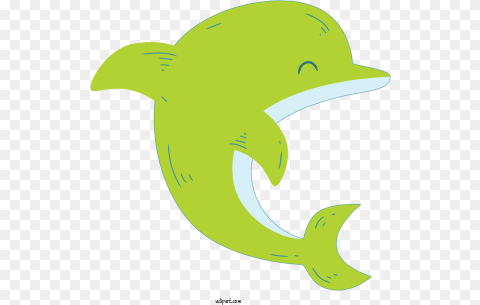 Animals Bottlenose Dolphin Fin Cartoon, Animal, Mammal, Sea Life, Fish Free Transparent Png