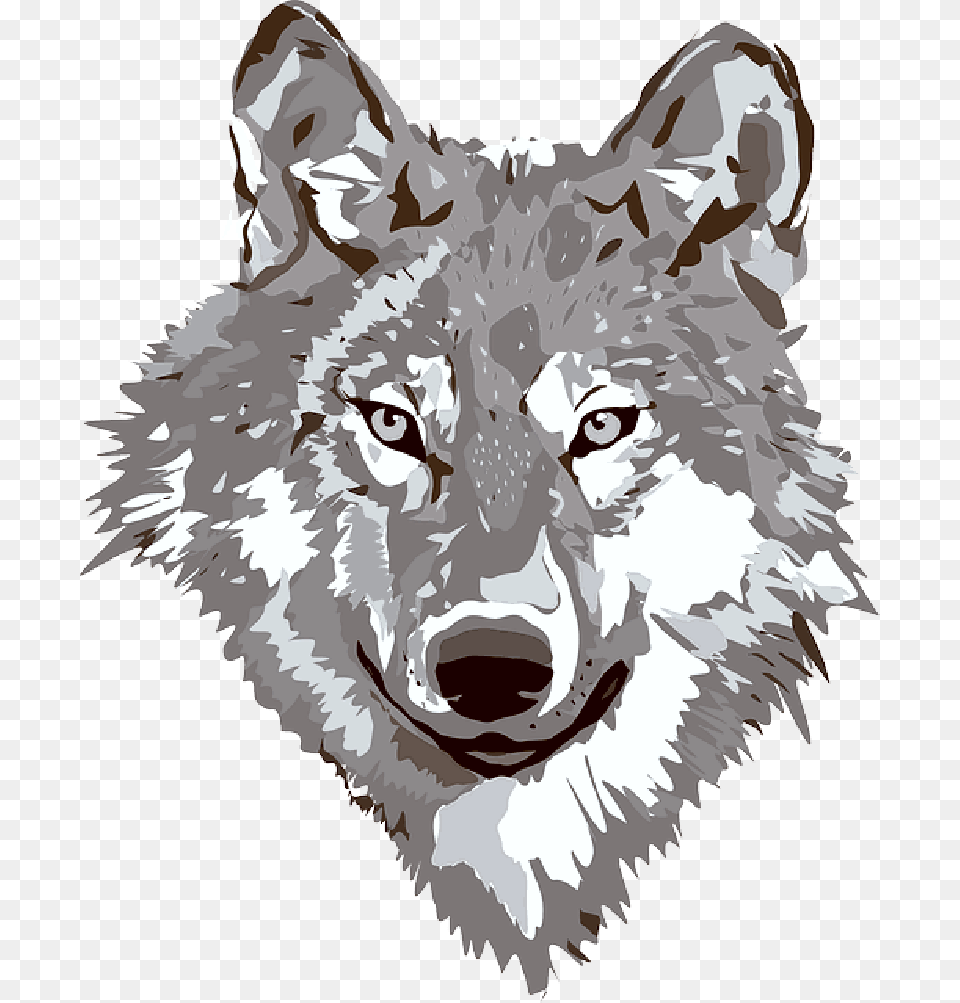 Animals Cartoon Arctic Mammals Wolf Wild Wolf Clip Art, Animal, Mammal, Person, Face Free Png Download