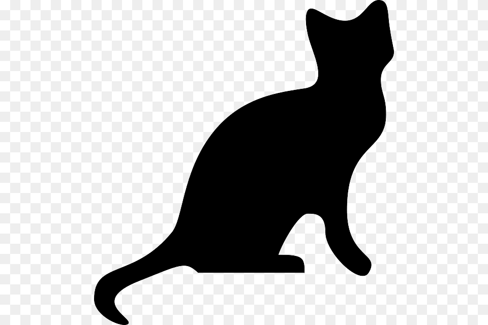 Animals Cat Head People Profile Silhouette Cat Silhouette, Animal, Mammal, Pet, Black Cat Free Png Download