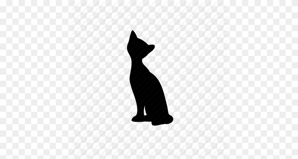 Animals Cat Icon, Silhouette, Animal, Mammal, Pet Free Png Download