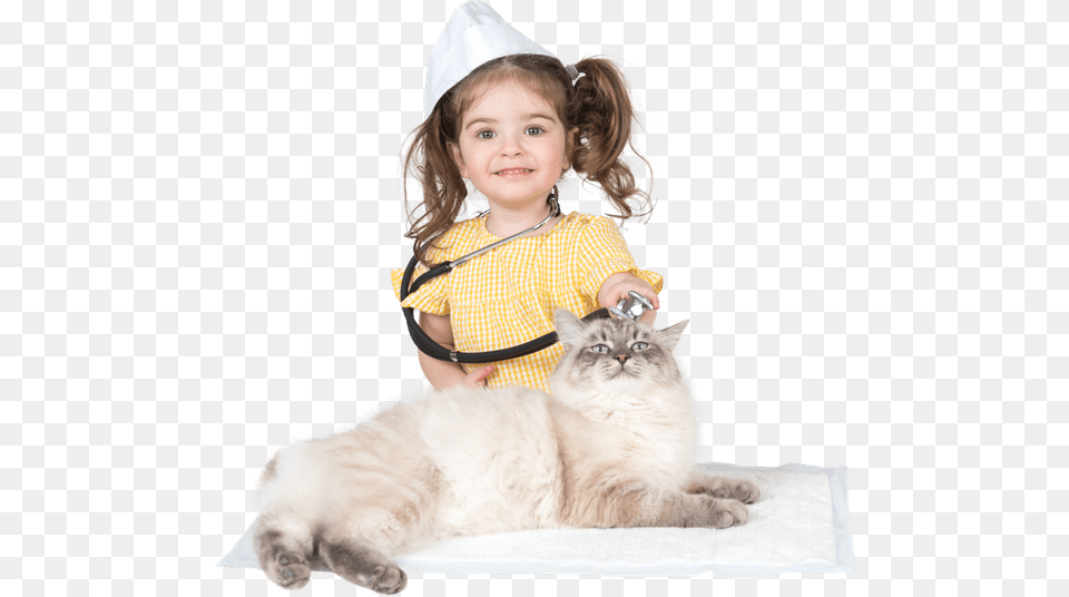 Animals Cat Yawns, Clothing, Hat, Portrait, Photography Free Png Download
