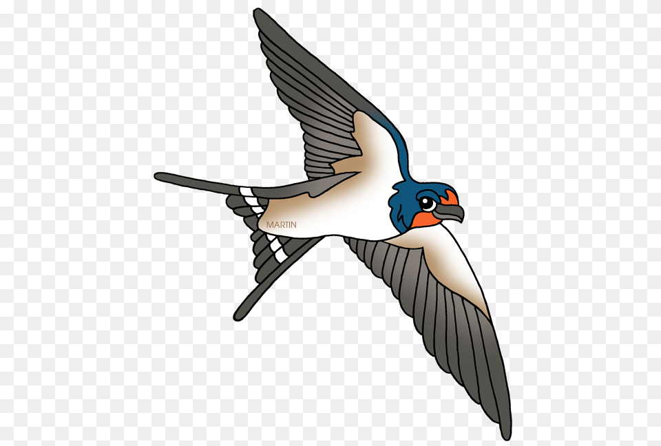 Animals Clip Art, Animal, Bird, Swallow, Adult Free Png Download