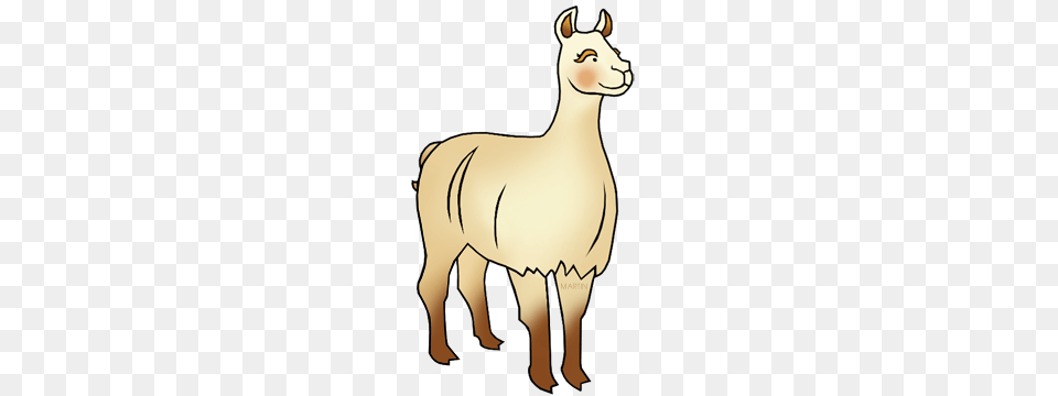 Animals Clip Art, Animal, Mammal, Llama, Adult Free Png