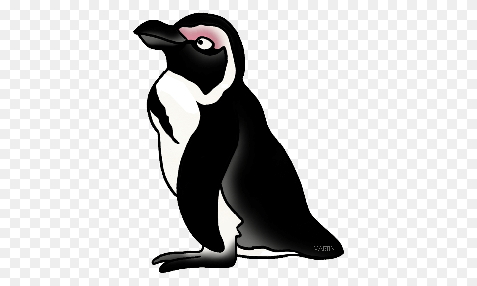 Animals Clip Art, Animal, Bird, Penguin Free Transparent Png