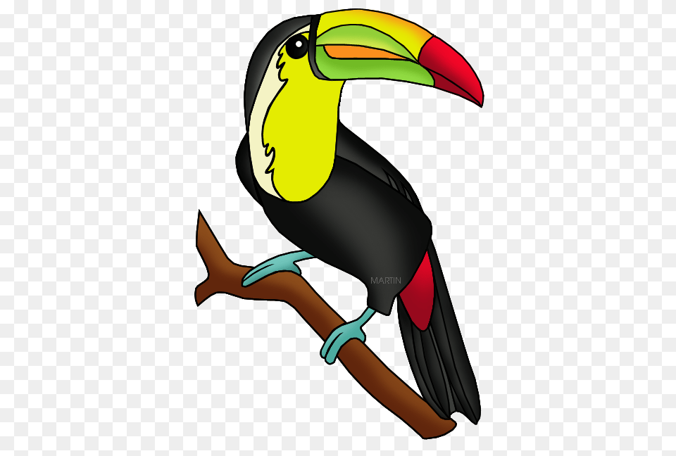 Animals Clip Art, Animal, Beak, Bird, Toucan Png