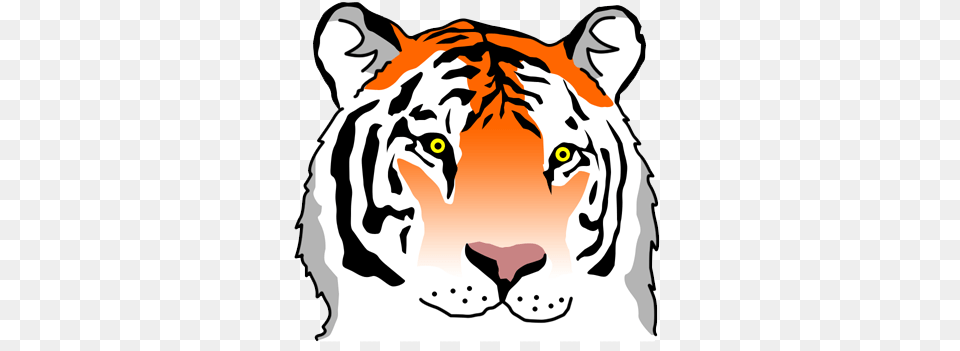 Animals Clip Art, Animal, Mammal, Tiger, Wildlife Png