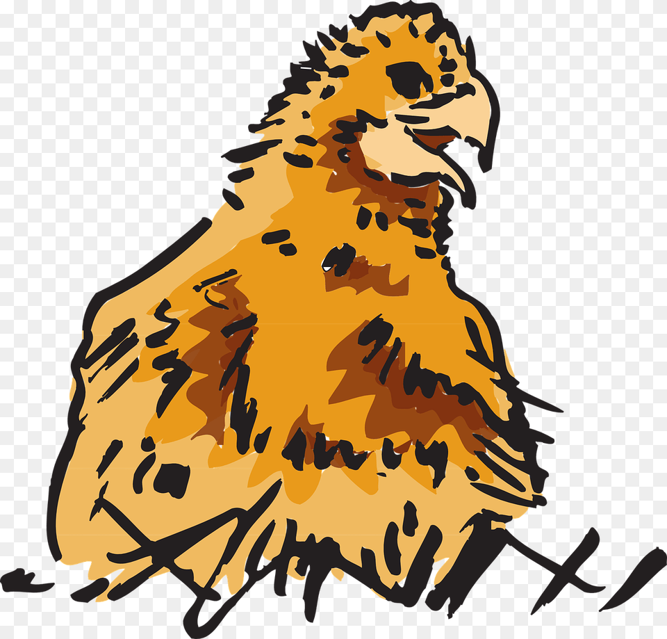 Animals Clipart, Person, Animal, Bird, Chicken Free Png