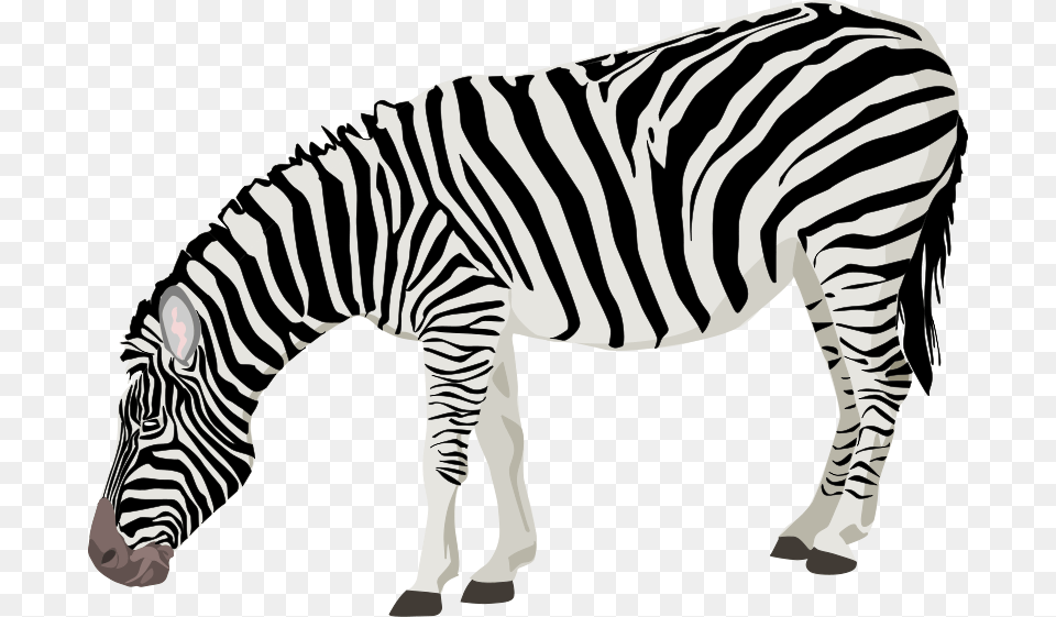 Animals Clipart, Animal, Mammal, Wildlife, Zebra Free Png