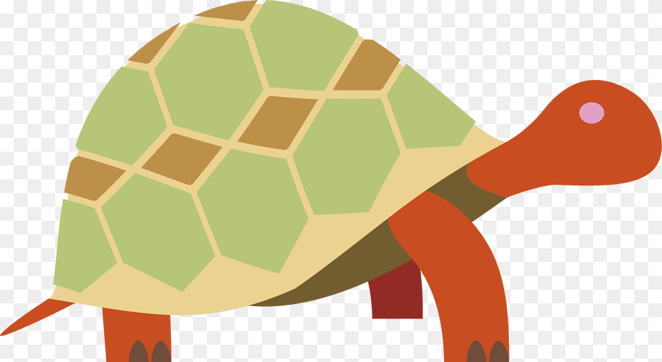Animals Clipart, Animal, Reptile, Sea Life, Tortoise Png Image