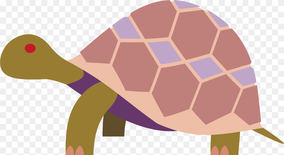 Animals Clipart, Animal, Reptile, Sea Life, Tortoise Free Transparent Png