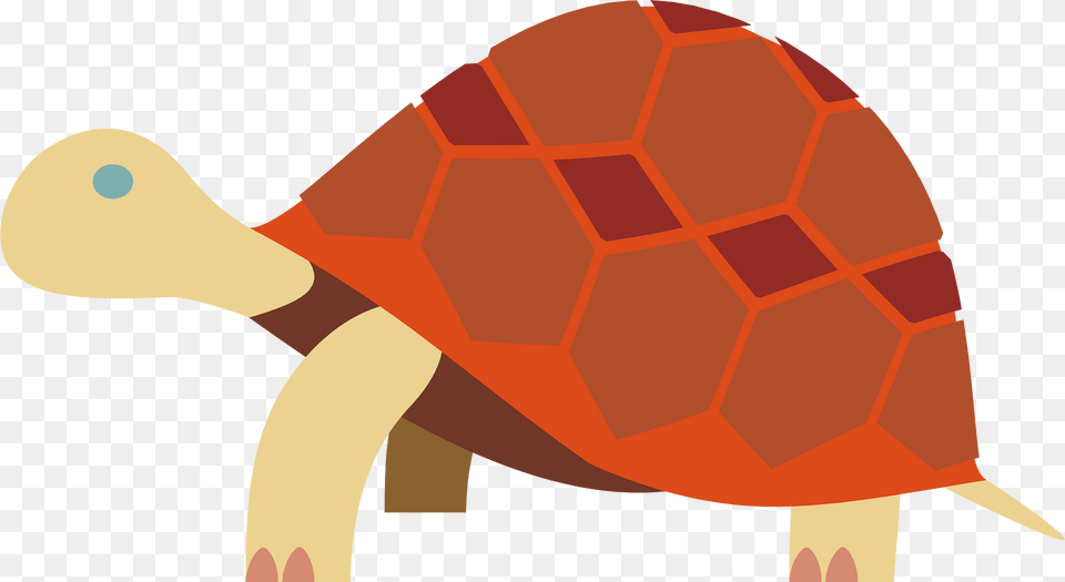 Animals Clipart, Animal, Reptile, Sea Life, Tortoise Free Png Download