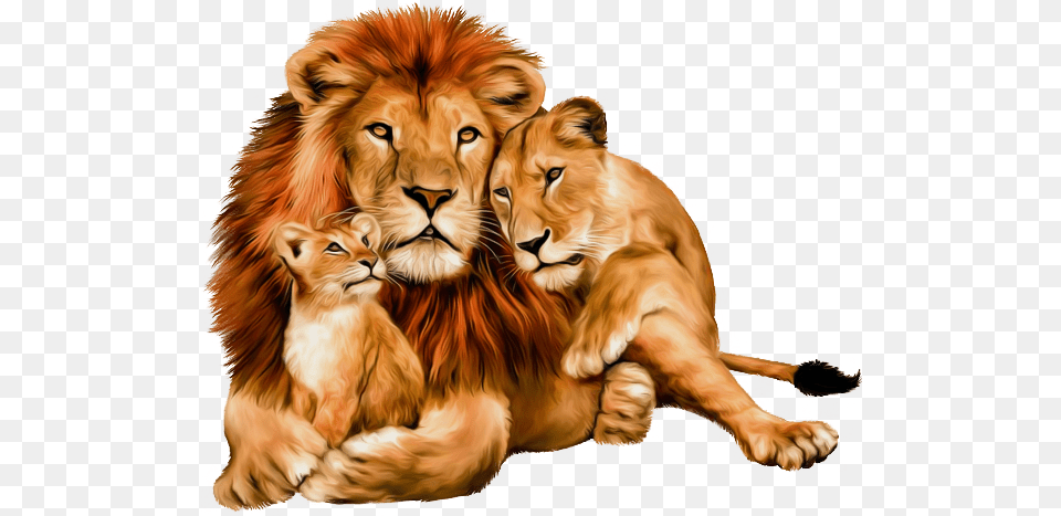 Animals Clipart Pngcartoon Lion Lioness And Cub, Animal, Mammal, Wildlife Png Image
