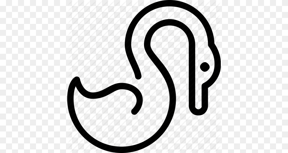 Animals Curl Neck Pets Swan Wing Wings Icon Free Transparent Png