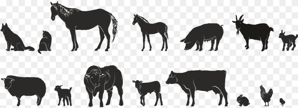 Animals Farm Series Isolated Form 4h Animals, Animal, Horse, Mammal, Goat Free Png
