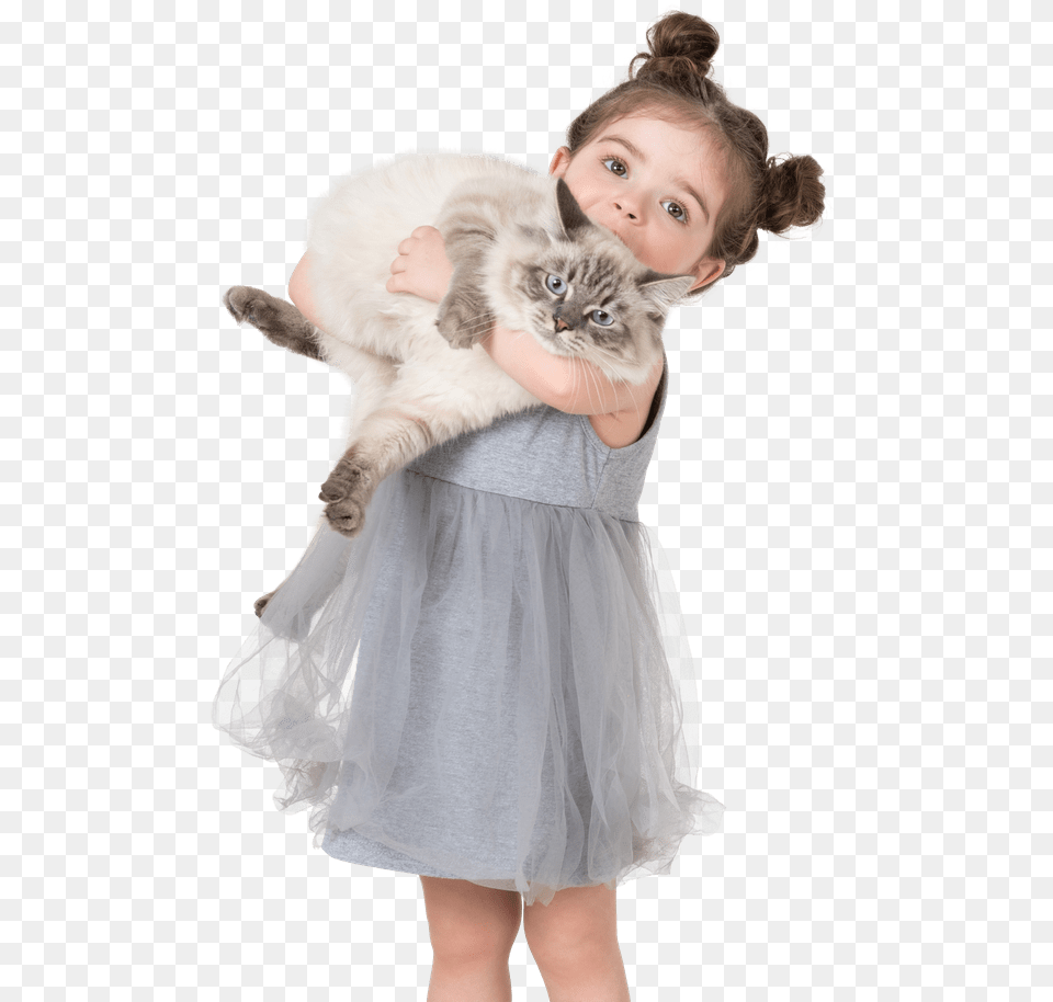 Animals Girl, Portrait, Photography, Person, Face Png Image