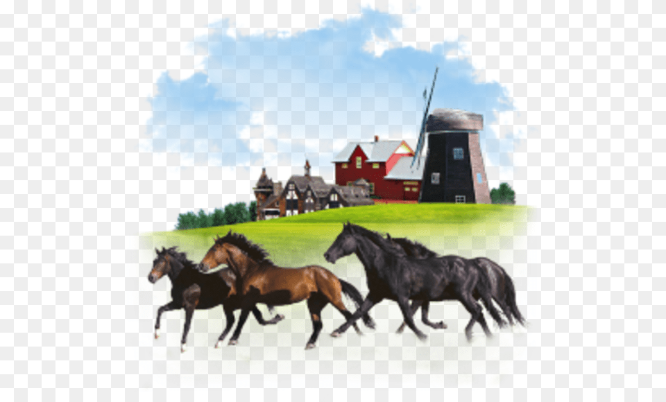 Animals Horses Icon Animal Figure, Colt Horse, Mammal, Horse, Outdoors Free Transparent Png