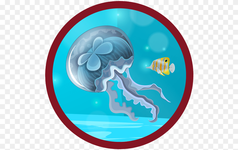 Animals Illustration, Animal, Fish, Sea Life, Invertebrate Png Image