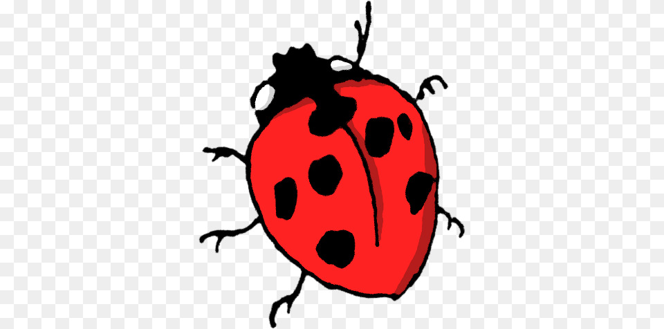 Animals Insects Cartoon Ladybug 2 Animals Insect Cartoon, Dice, Game, Face, Head Free Transparent Png