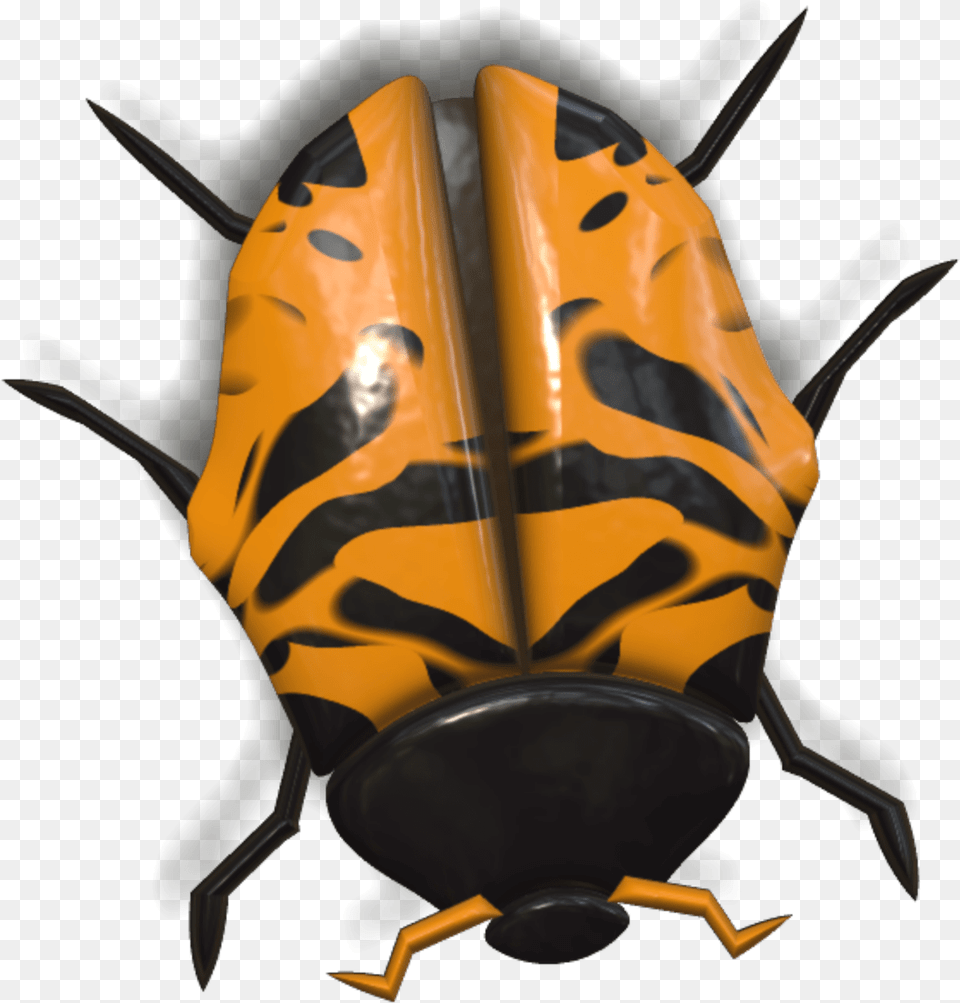 Animals Ladybird Beetle, Animal, Bee, Insect, Invertebrate Free Png
