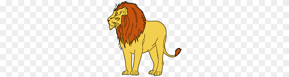 Animals Lion Icon, Animal, Mammal, Wildlife, Person Free Png Download