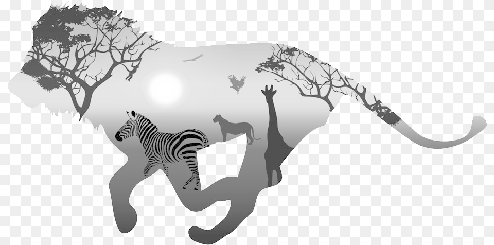 Animals Lion King Of The Animals Canvas Painting Wall Painting Black And White Animals, Animal, Mammal, Wildlife, Zebra Png Image